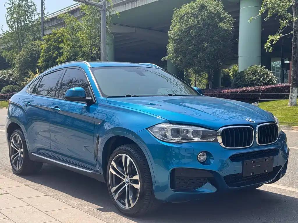 BMW X6 2018 xDrive35i Lead