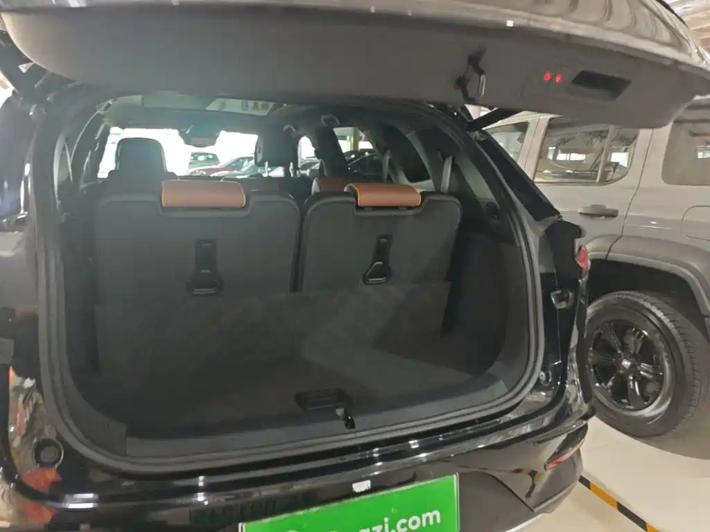 BYD Tang New Energy — миниатюра 19