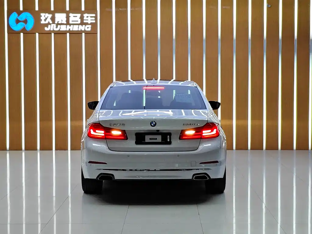BMW 5 Series New Energy — миниатюра 3