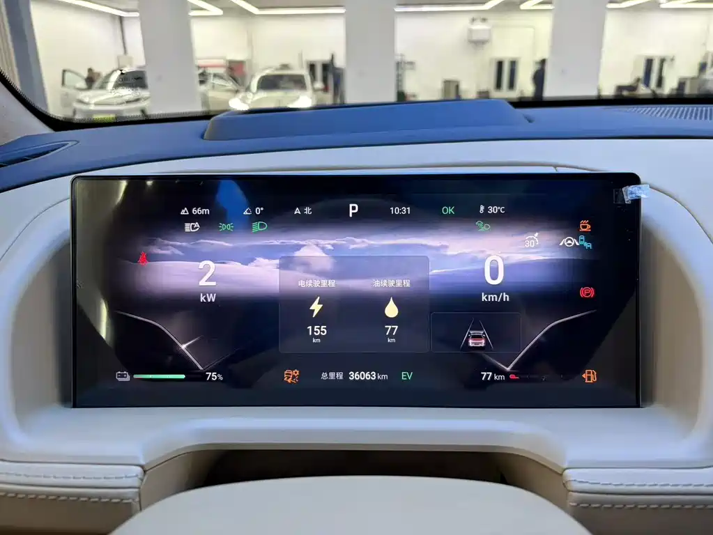 Denza Denza N8 — миниатюра 5