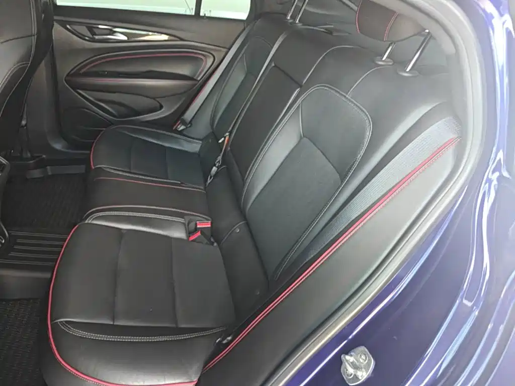 Buick Regal — миниатюра 17