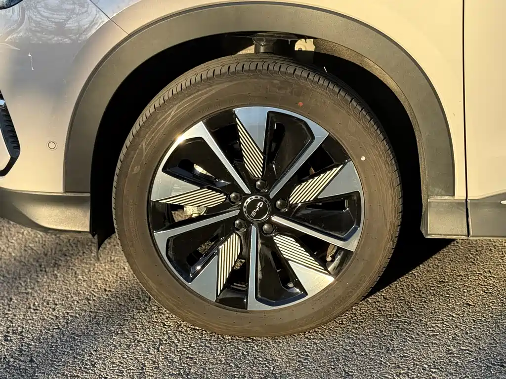 BYD SONGJIANG NEW ENERGY