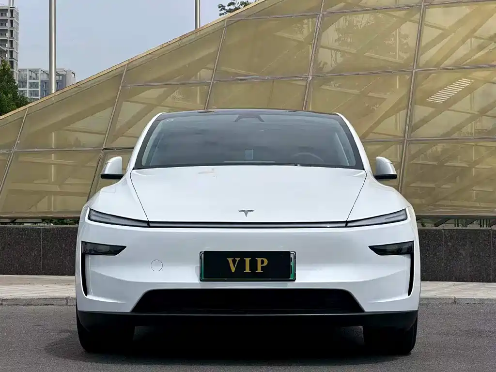 Tesla Model Y — миниатюра 2