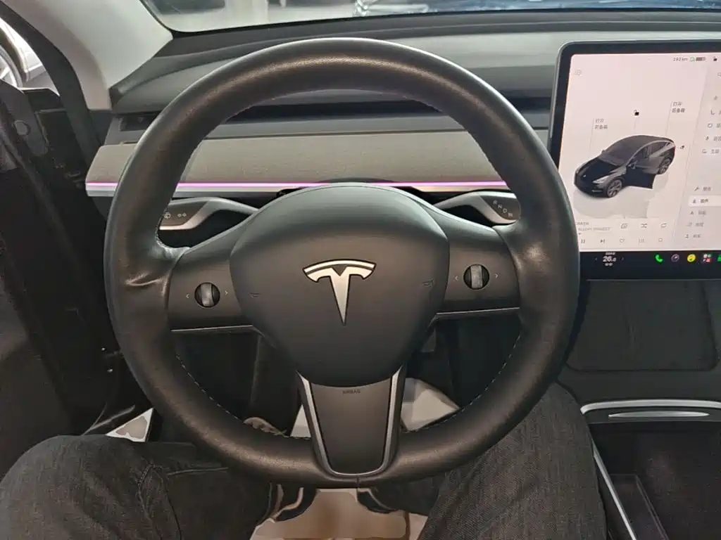 Tesla Model Y — миниатюра 11