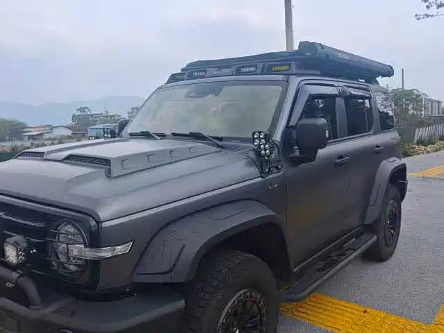 2024 TANK 300