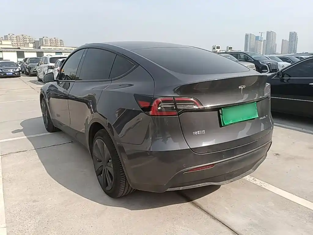 Tesla Model Y — миниатюра 5
