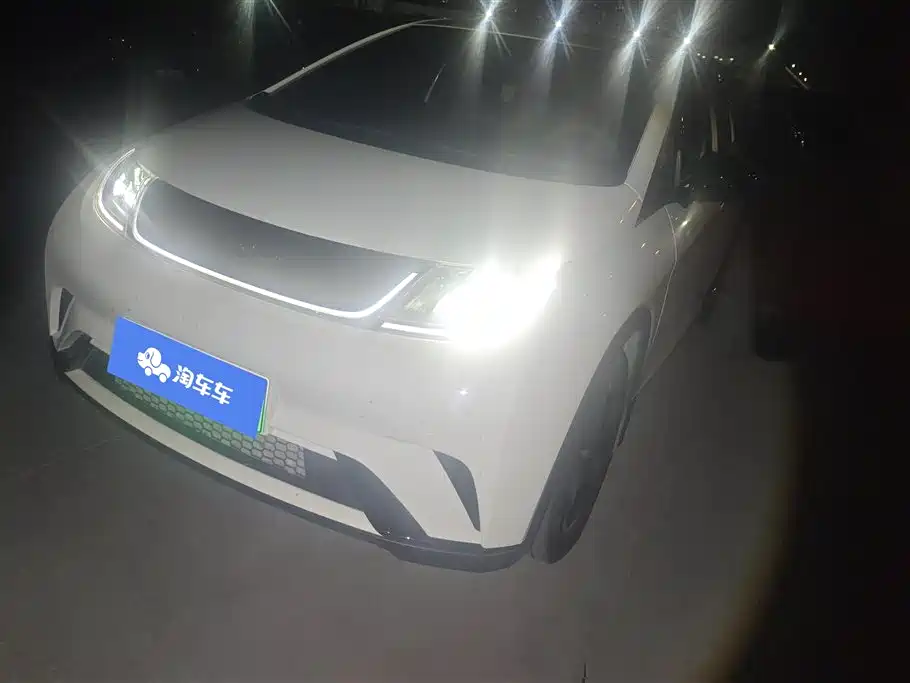 Byd Dolphin 2024
