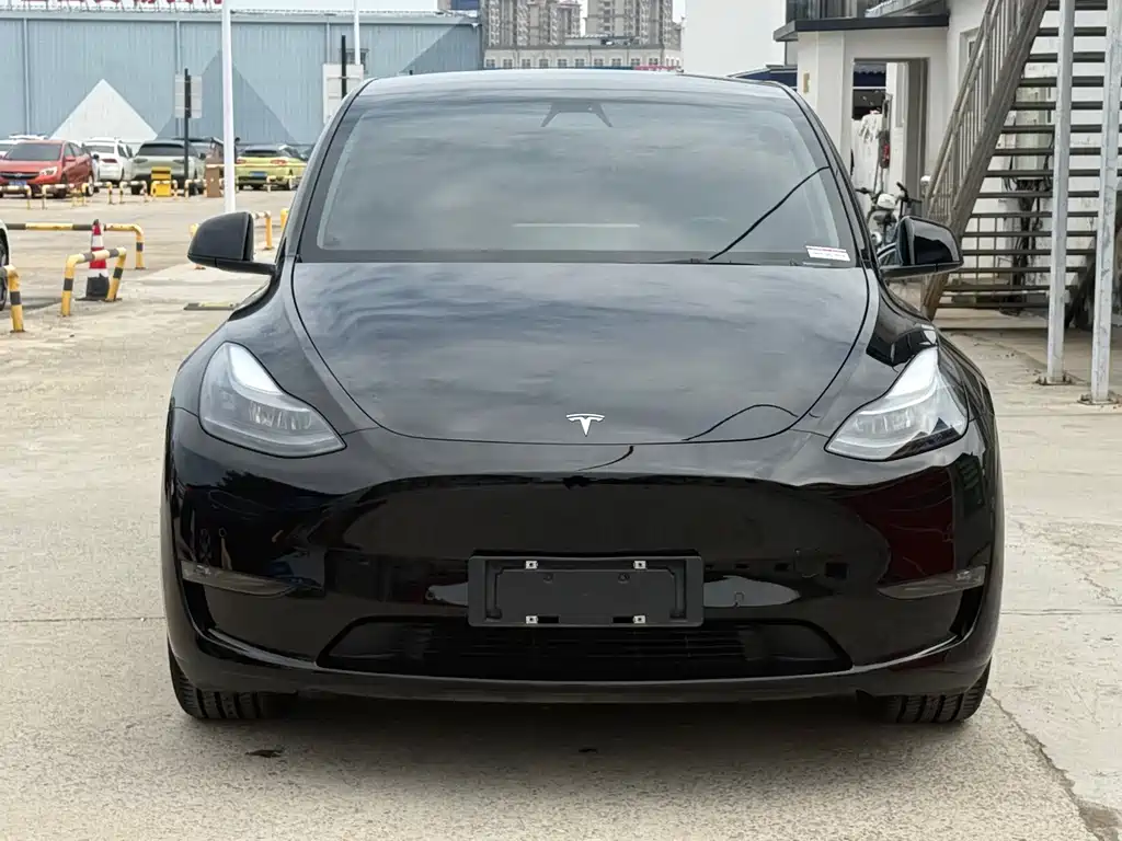 Tesla Model Y — миниатюра 2