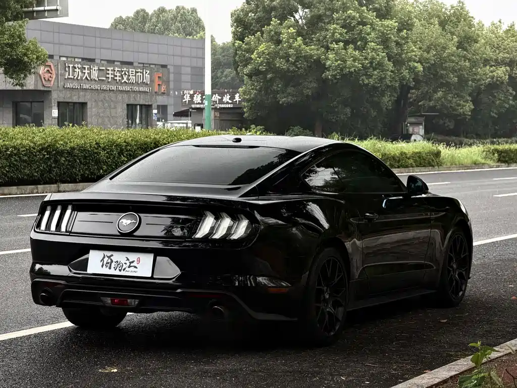 Ford Mustang — миниатюра 7