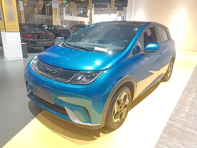 2022 BYD Dolphin