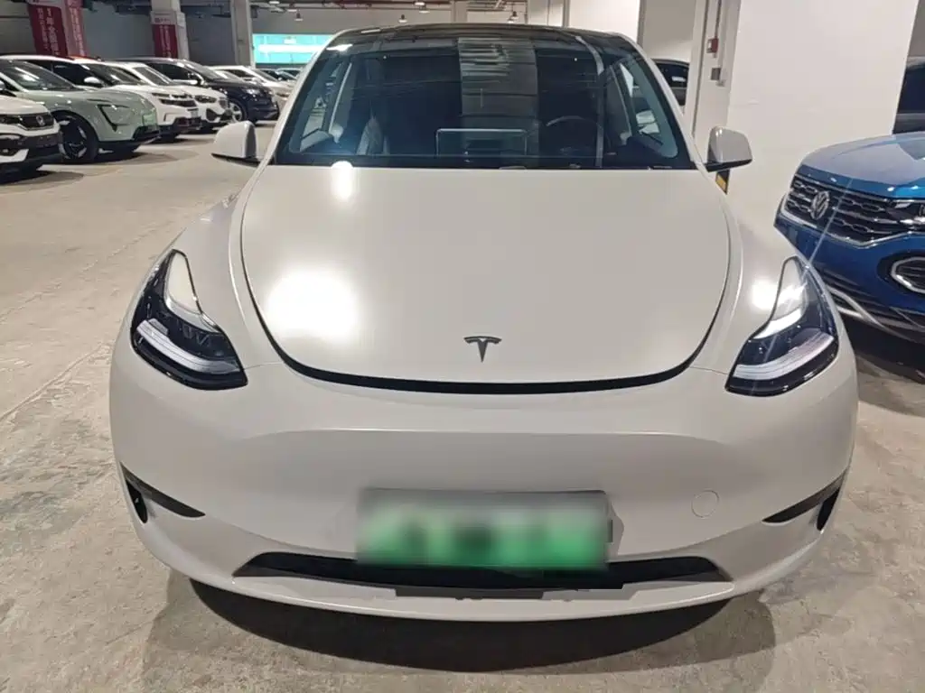 Tesla Model Y — миниатюра 3