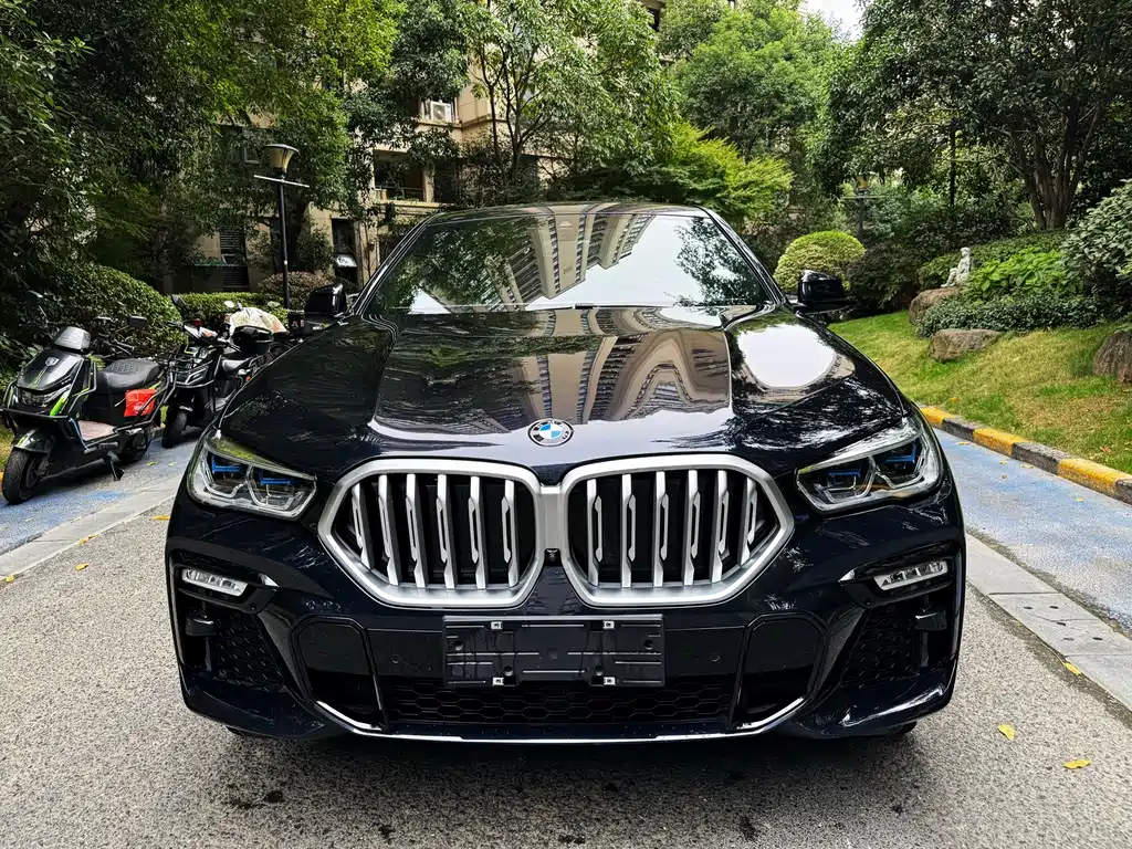 BMW X6 — миниатюра 2