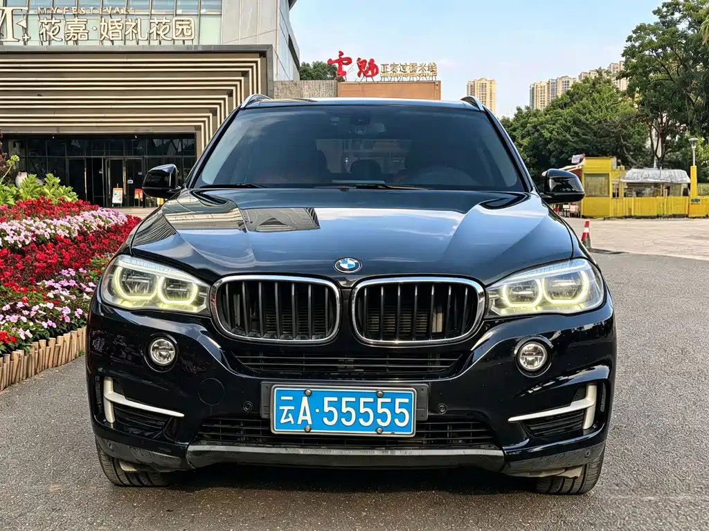 BMW X5 (Import) — миниатюра 2