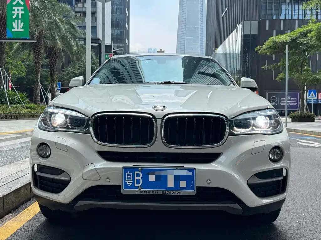 BMW X6 — миниатюра 2