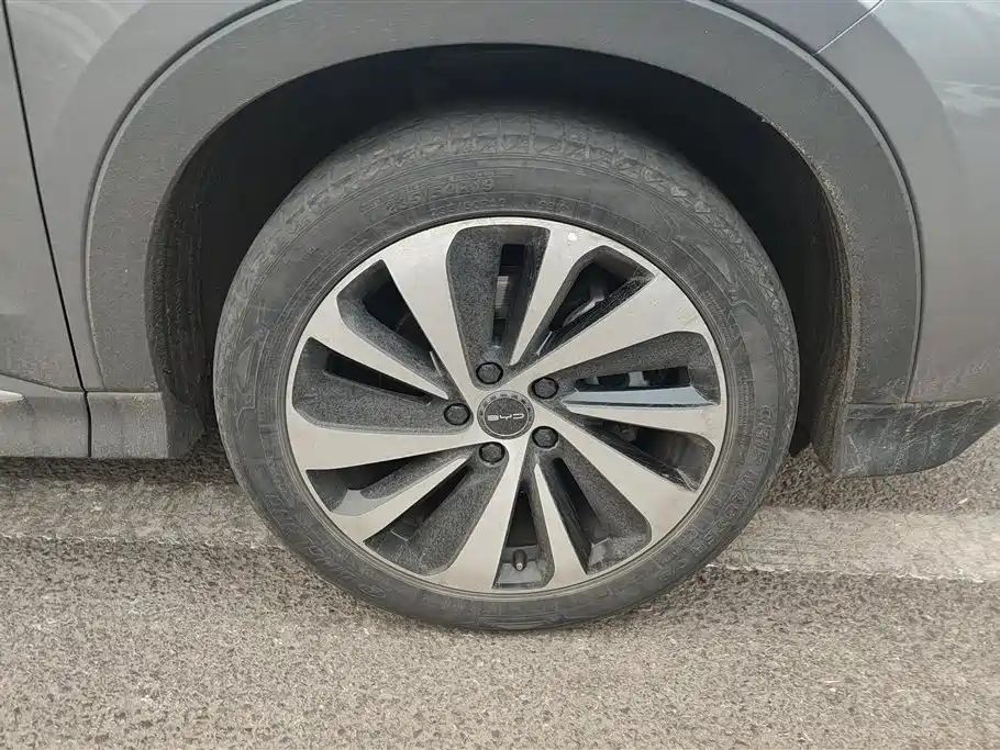 BYD SONGJIANG NEW ENERGY