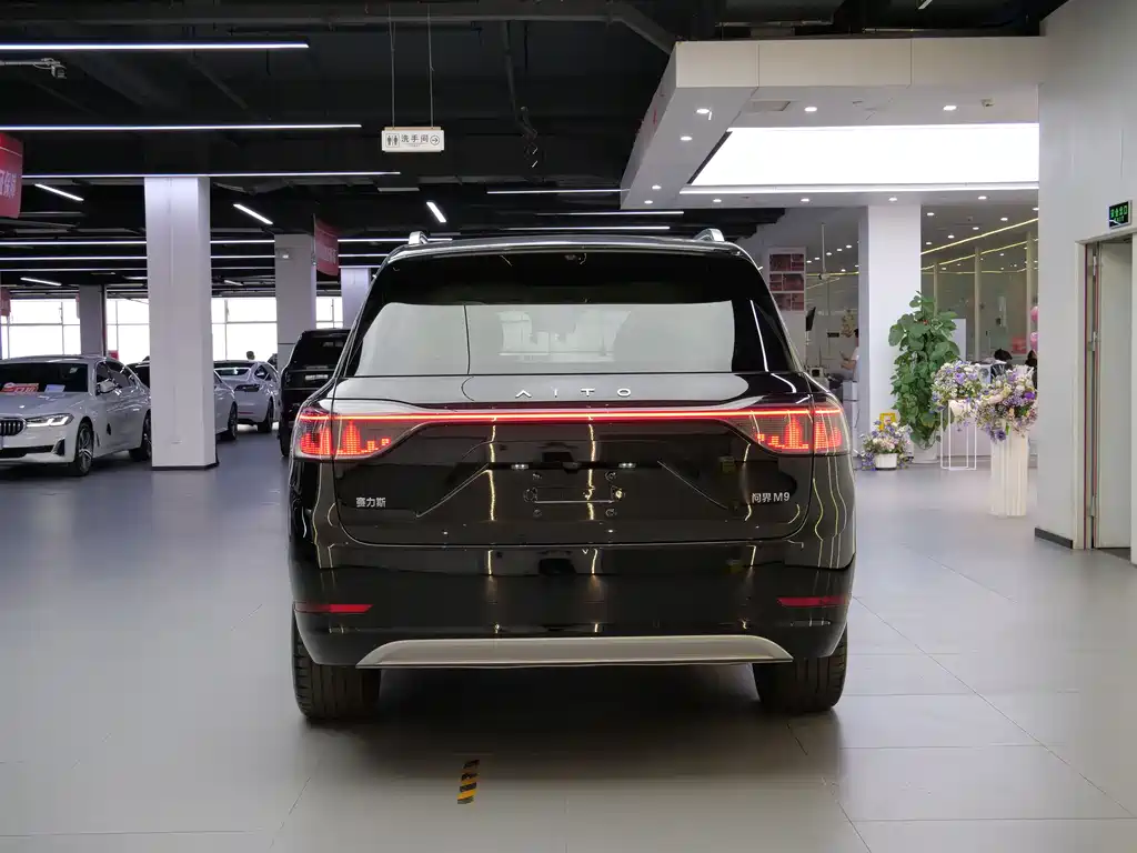 AITO ASK THE WORLD M9