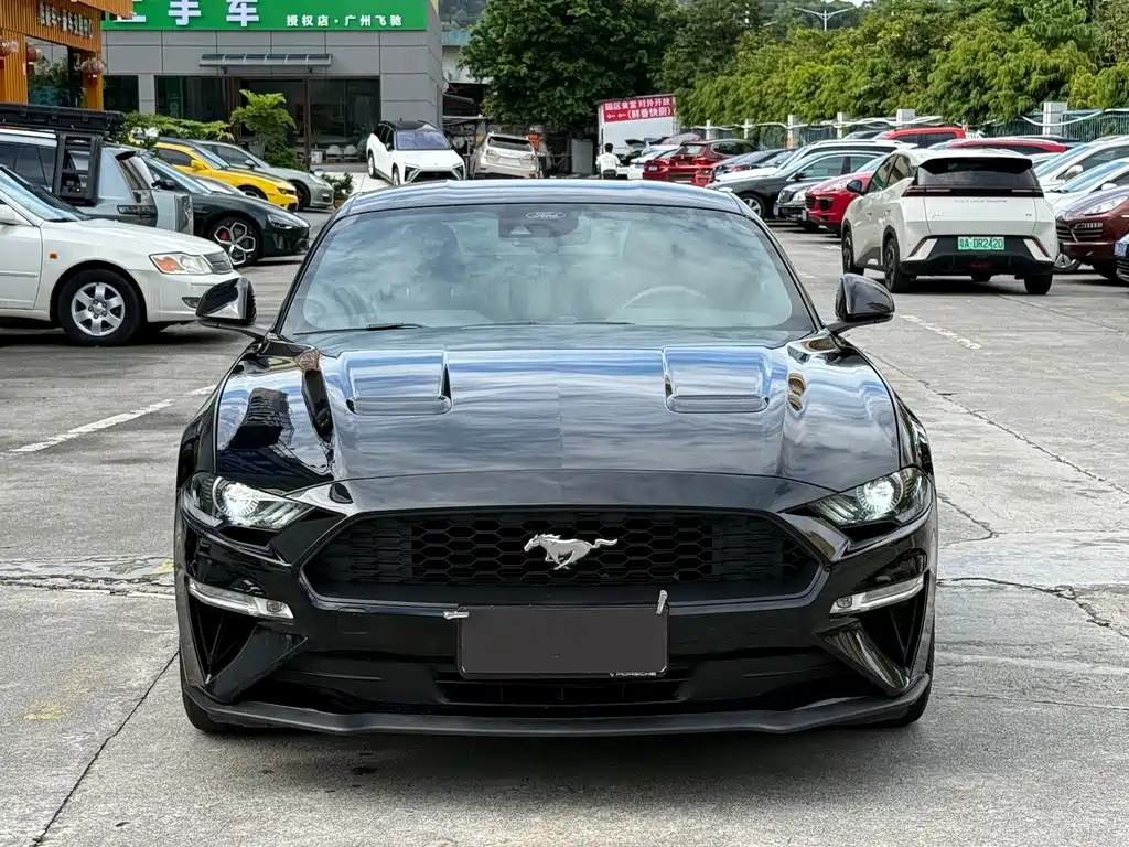 Ford Mustang — миниатюра 2