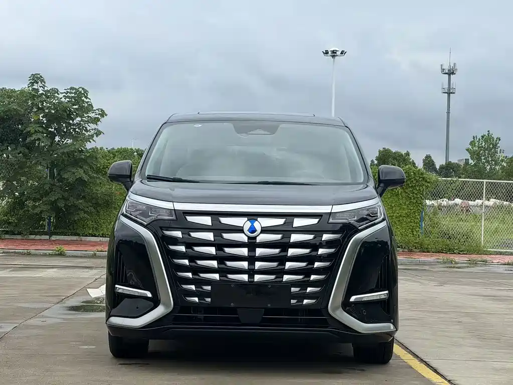 Denza Denza D9 — миниатюра 2