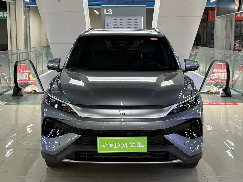 BYD Pro New Energy — миниатюра 2