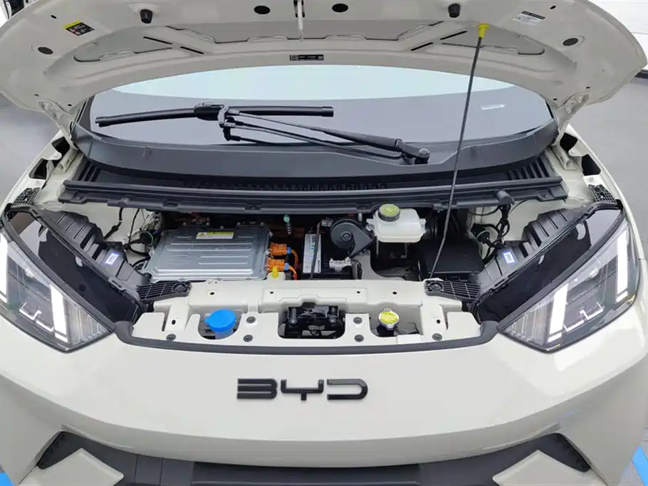 BYD Seagull