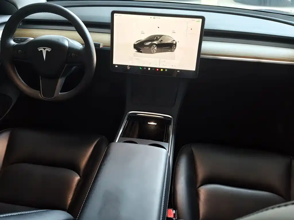 Tesla Model 3 — миниатюра 7