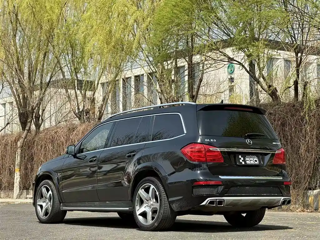 Mercedes-Benz GL-Class AMG — миниатюра 6