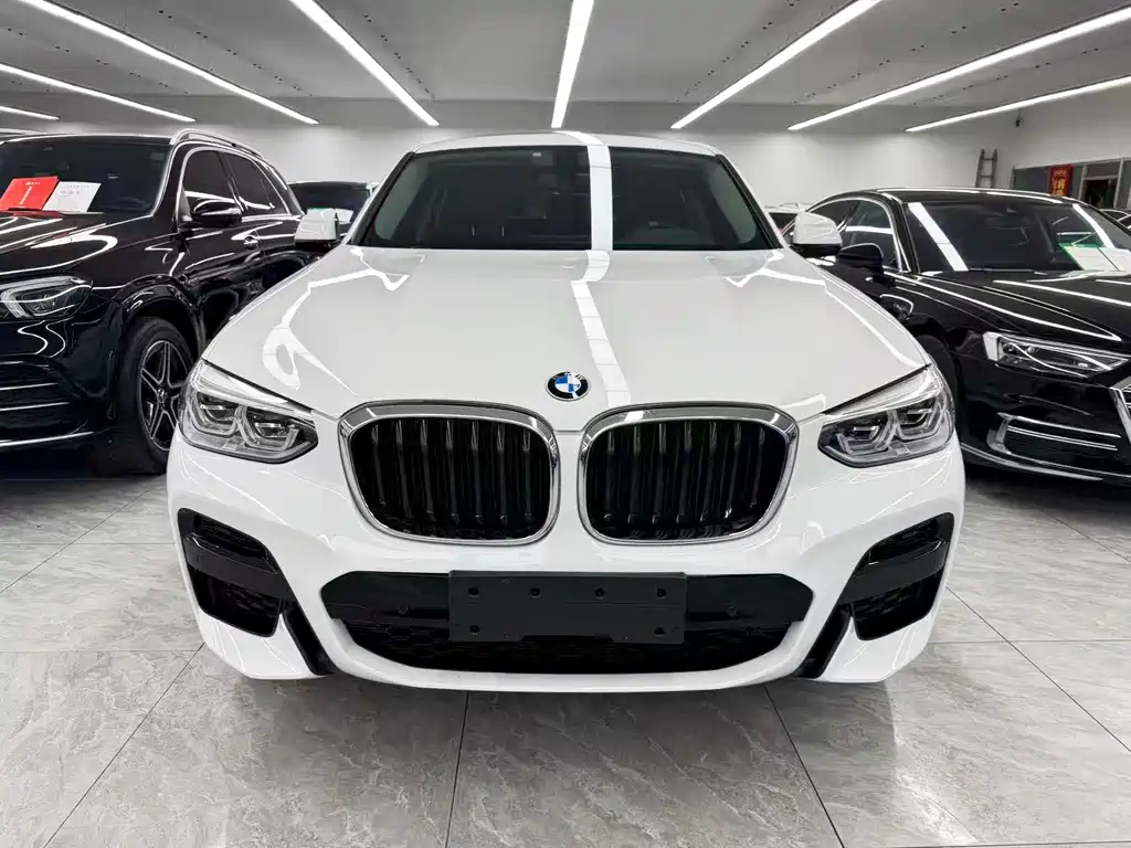 BMW X4 — миниатюра 2