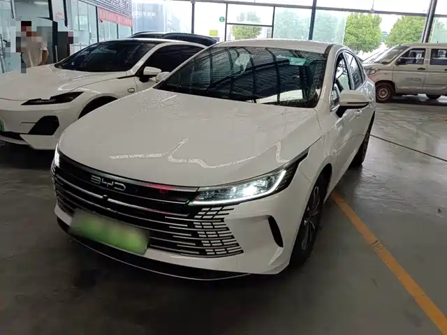 BYD DESTROYER 05 2024