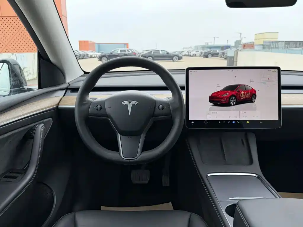 Tesla Model Y — миниатюра 9