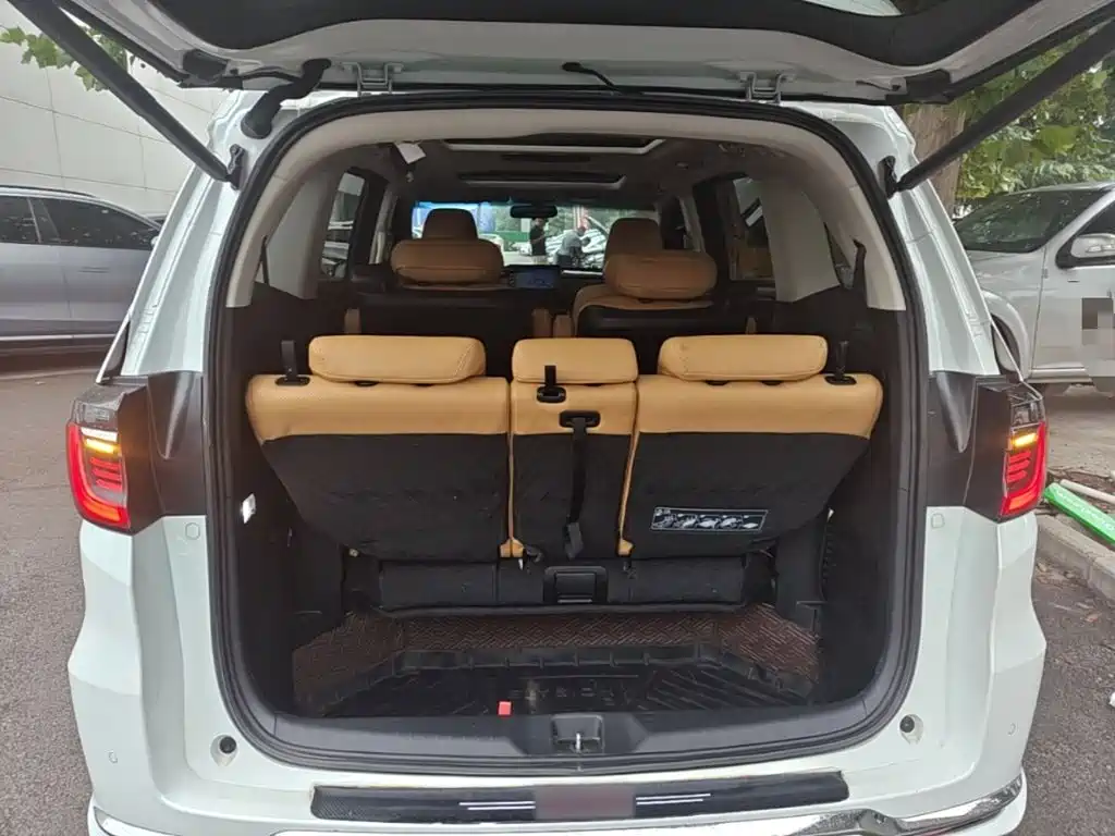 Honda Elysion — миниатюра 19