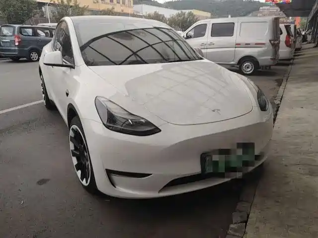 Tesla Model Y — миниатюра 3