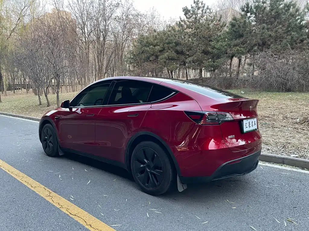 TESLA MODEL Y