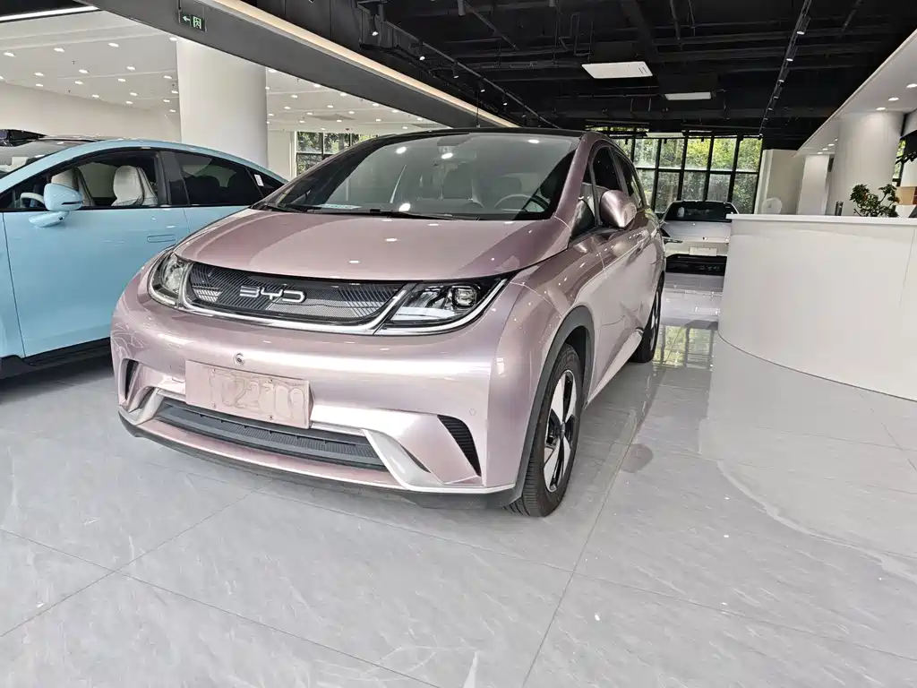 BYD Dolphin — миниатюра 3