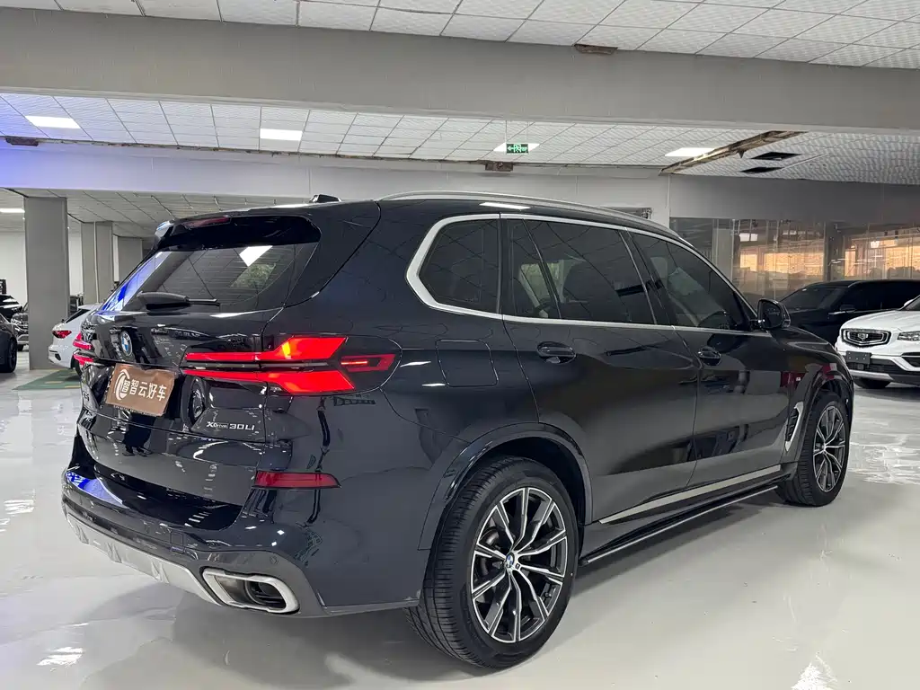 BMW X5 — миниатюра 9