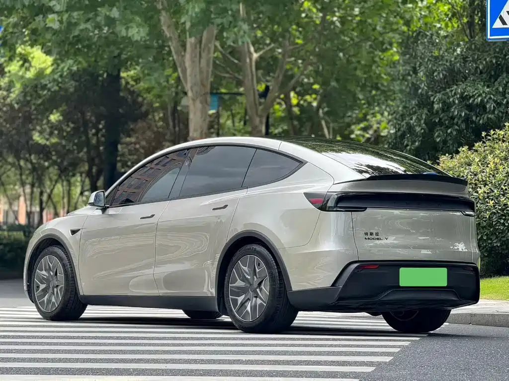 Tesla Model Y L — миниатюра 9