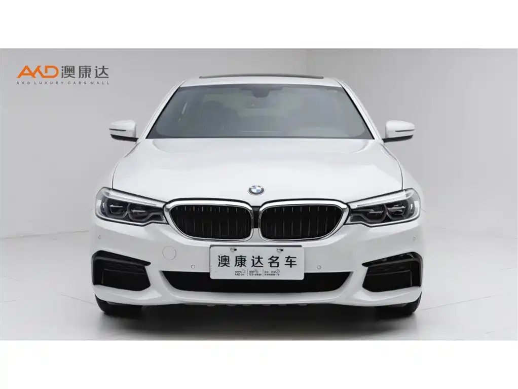 BMW 5 Series — миниатюра 2