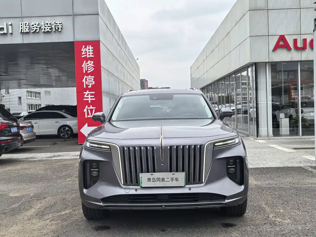 Hongqi Hongqi E-HS9 — миниатюра 2