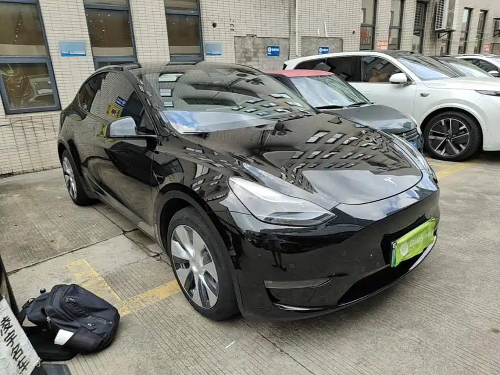 Tesla Model Y — миниатюра 4
