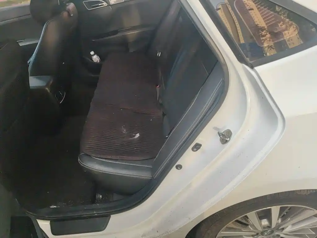 Hyundai Mistra — миниатюра 18