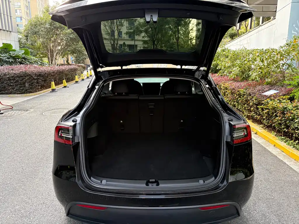 Tesla Model Y — миниатюра 16