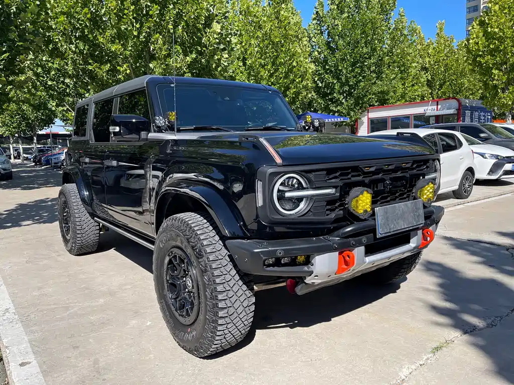 Ford Bronco — миниатюра 3