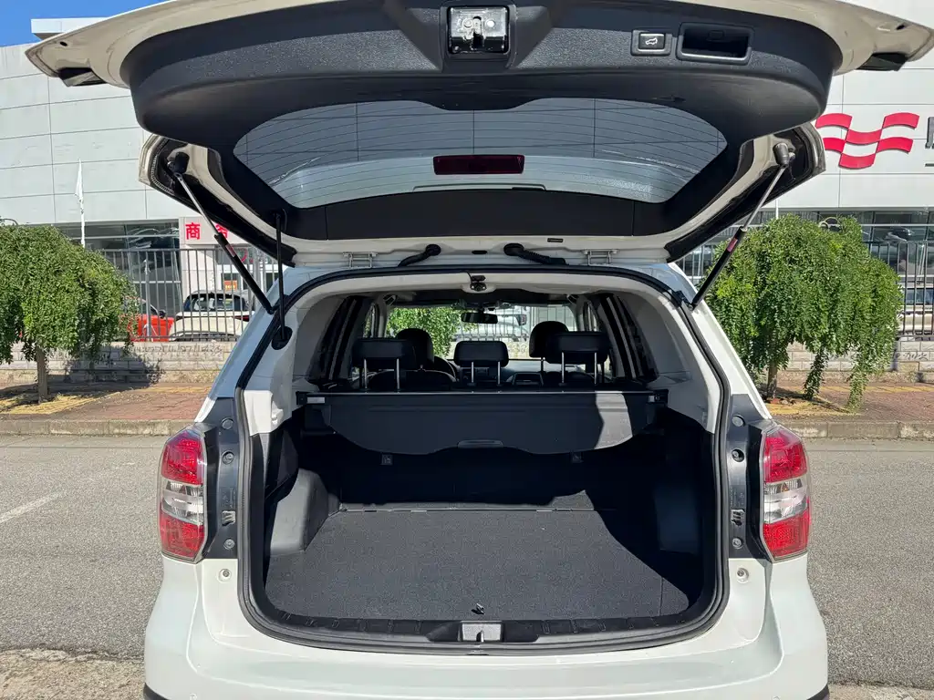 Subaru Forester — миниатюра 15