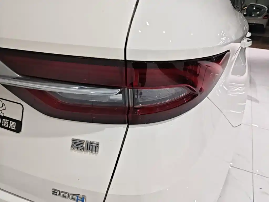 Geely Jia Ji — миниатюра 8