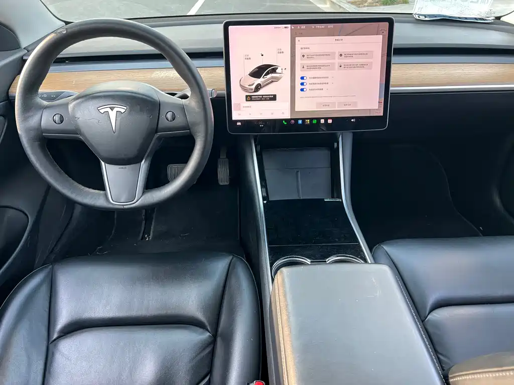 Tesla Model 3 — миниатюра 9