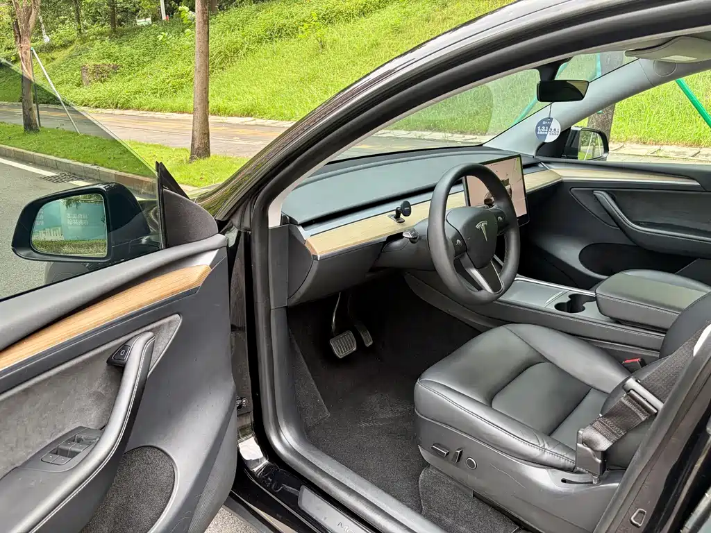 Tesla Model Y — миниатюра 4