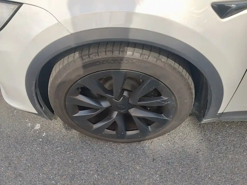 Tesla Model X — миниатюра 23