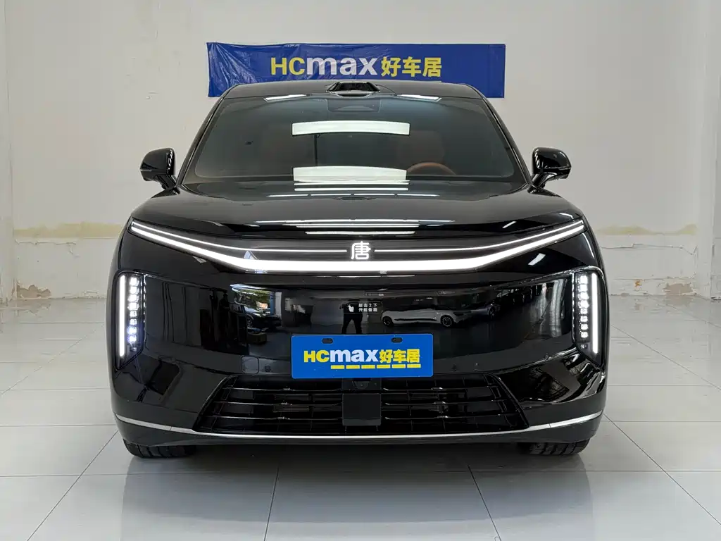 BYD 大唐 — миниатюра 2