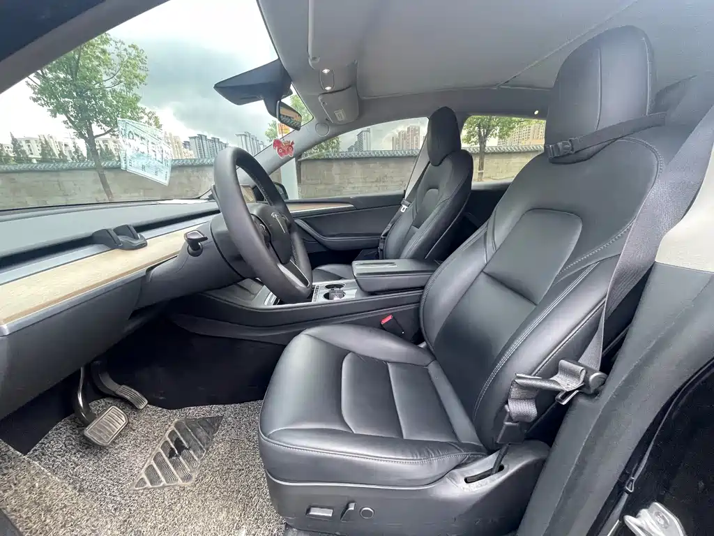 Tesla Model Y — миниатюра 6