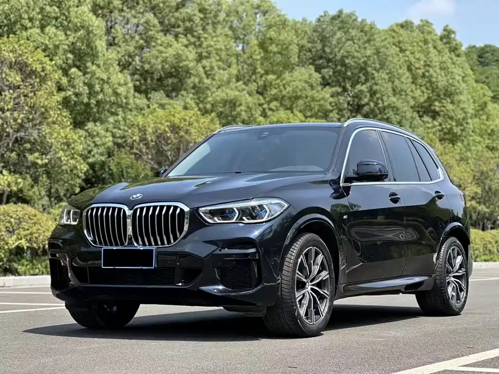 BMW X5 (Import) 2019
