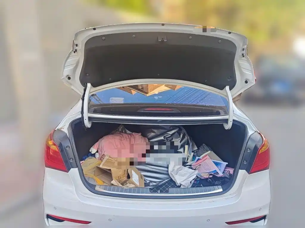Hyundai Mistra — миниатюра 10